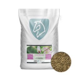 Nordic Horse Djvleklo