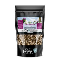Nordic Horse Marietidsel