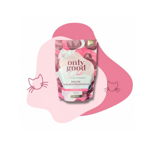 OnlyGoodCat