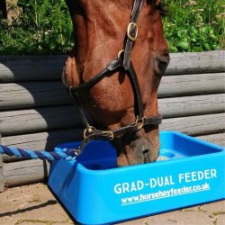 Parallax Grad Dual Feeder