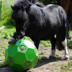 Parallax Hay Play Ball