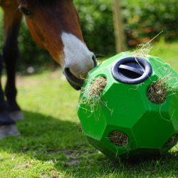 Parallax Hay Play Ball