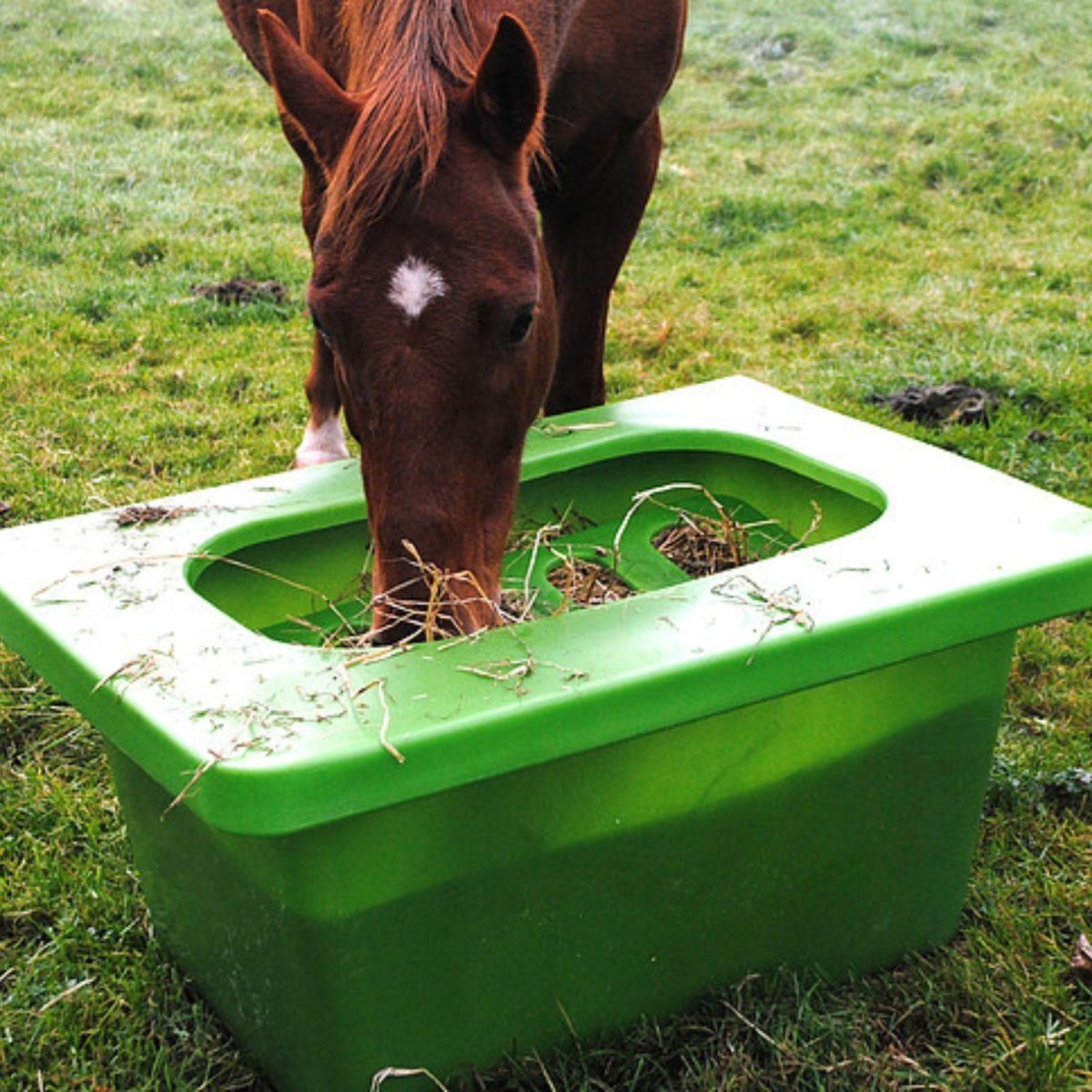 Parallax hay feeder hotsell