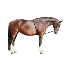 QHP Hjlpetjler til longering