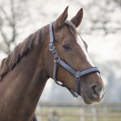 QHP Sensisoft grimest