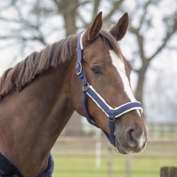 QHP Sensisoft grimest