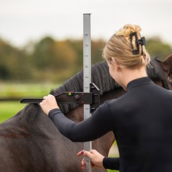 QHP Stangm�l til hest