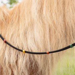 QHP Tjler med farvemarkering