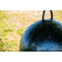 Sticky Trap bold 60 cm