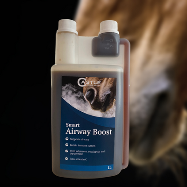 Castle Horse Feeds Smart Airway Boost 1 l. 