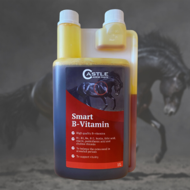 Castle Horse Feeds Smart B-vitamin 1 l.