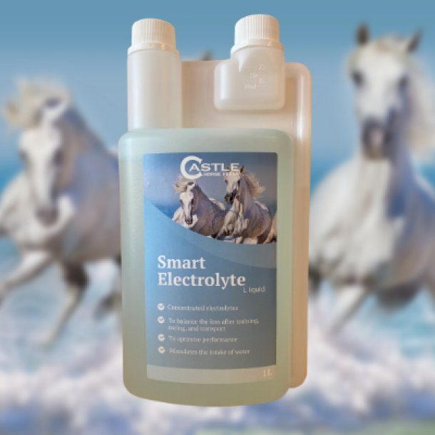 Castle Horse Feeds Smart Electrolyte Liquid 1 l. 