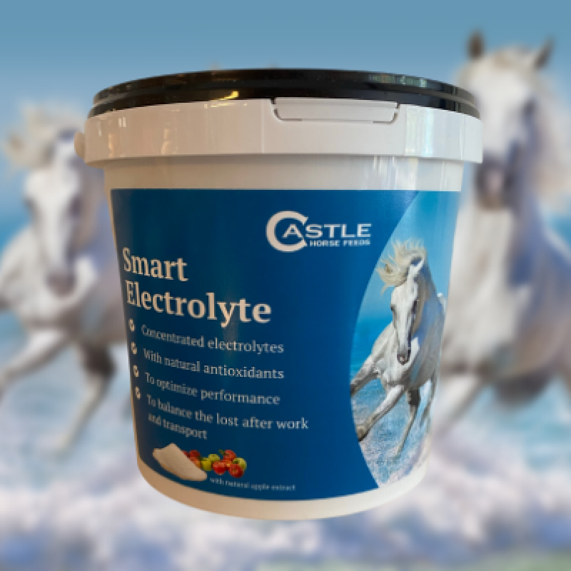 Castle Horse Feeds Smart Electrolyte Køb her, hurtig levering