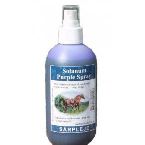 Solanum Purple Spray