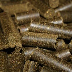 Nordic Horse Summer Sticks