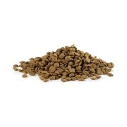 Sund Hund Hvalp 12 kg.