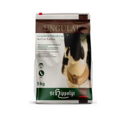 St. Hippolyt Ungulat