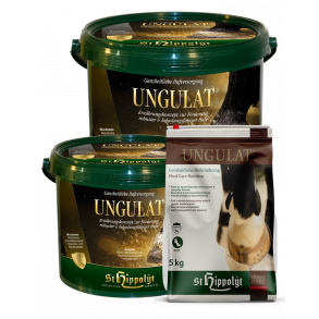St. Hippolyt Ungulat