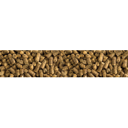 St. Hippolyt Vitamin E + Selen