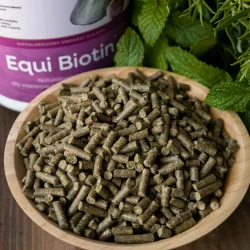 Equibiotic Equi Biotin