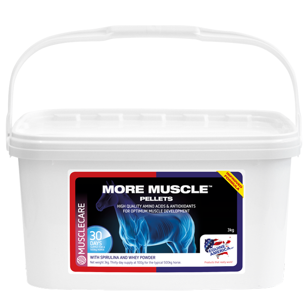 Equine America More Muscle Pellets 