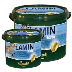 St. Hippolyt Lamin forte