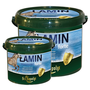 St. Hippolyt Lamin forte