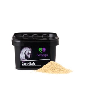 Amequ by Dangro GastriSafe