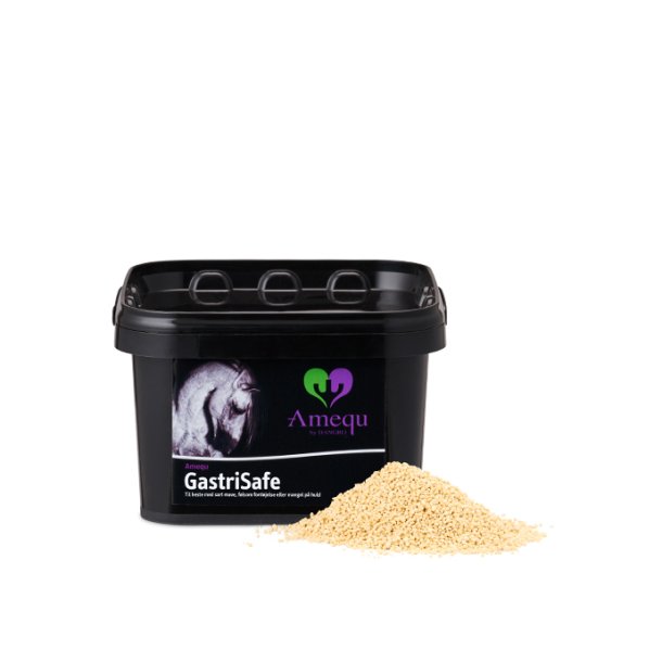 Amequ by Dangro GastriSafe