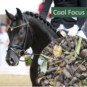 NAG HorsePro Cool Focus 20 kg