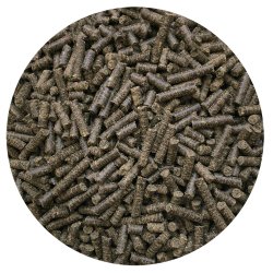 Nordic Horse Minty Omega