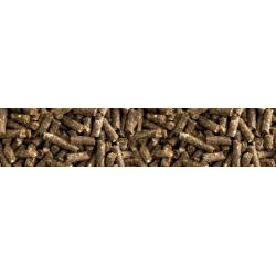 St. Hippolyt Mucolyt