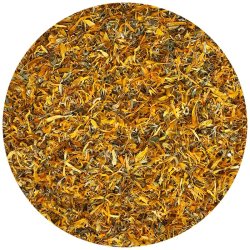 Nordic Horse Morgenfrue