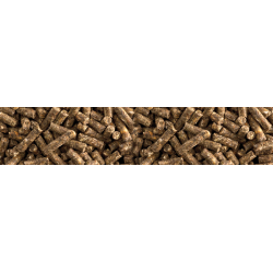 St. Hippolyt MoviCur