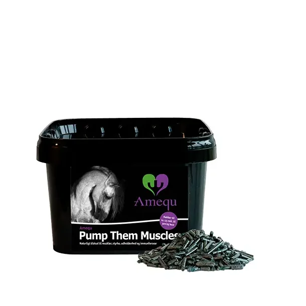 Amequ by Dangro Pump Them Muscles