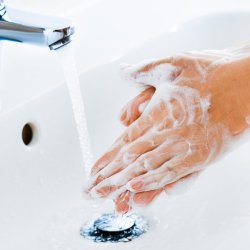 Nathalie Horsecare Hand Soap